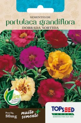 Semente Flor Portulaca Grandiflora Dobrada, Sortida
