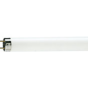 Lmpada Fluorescente Tubular T8 Luz Branca 36W 6200K Bivolt 