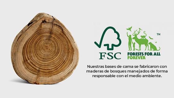 Ecologico; FSC; Sustentable; Amigable