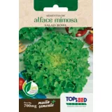 Semente Horta Alface Mimosa Salada Bowl