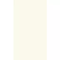 Revestimento Tradizionale Bianco 32x60cm Caixa 2,30m² Retificado Branco