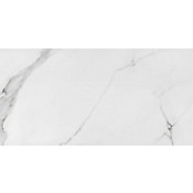 Porcelanato Polido Place PO 60x120cm Caixa 1,39m Retificado Branco