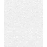 Papel de Parede Pintável Houston 0,53x10m Branco