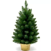 Árvore de Natal 60cm 80 Galhos Dear Santa