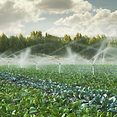 Irrigação Agrícola