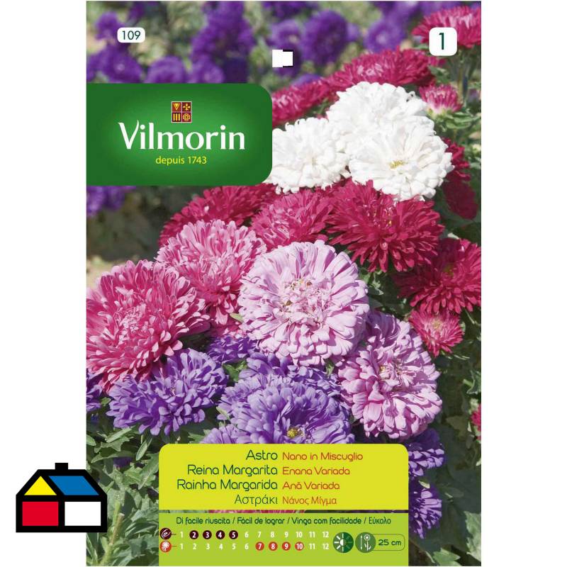 VILMORIN - Semilla flor reina margarita 0,8 gr sachet