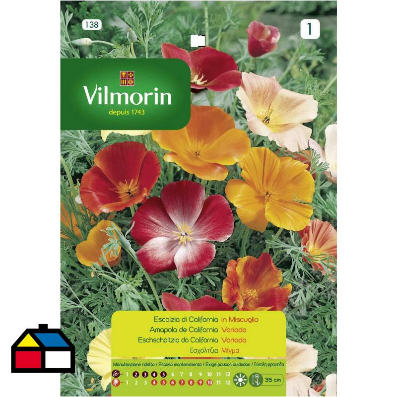 VILMORIN - Semilla flor amapola californiana 1,5 gr sachet