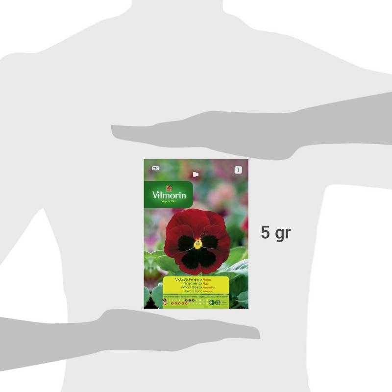 Semilla flor pensamiento rojo 0,5 gr sachet | Sodimac Chile