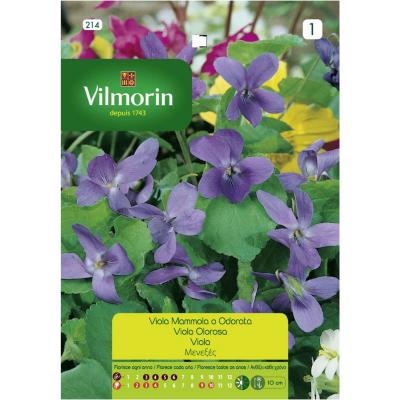 Semilla flor violeta 4 estaciones 0,3 gr sachet | Sodimac Chile