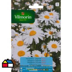 VILMORIN - Semilla flor margarita blanca 0,8 gr sachet
