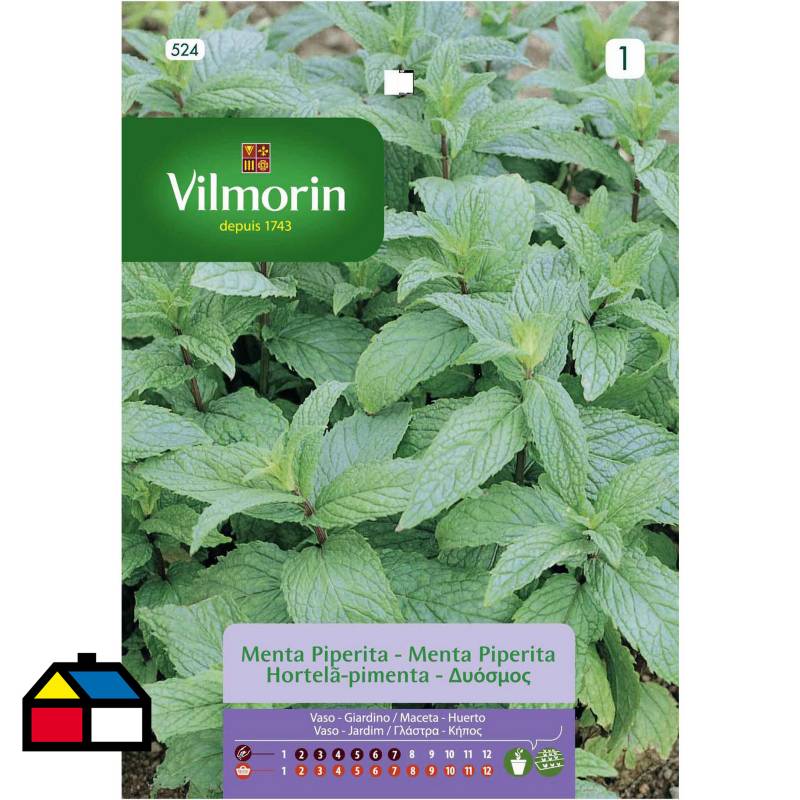 VILMORIN - Semilla menta piperita 0,3 gr sachet