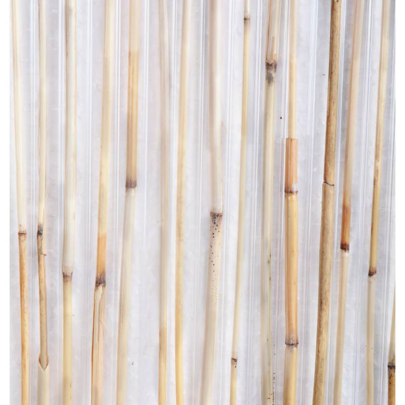 Polibamboo - Lastre in Policarbonato Alveolare con il Bamboo - Lamiplast