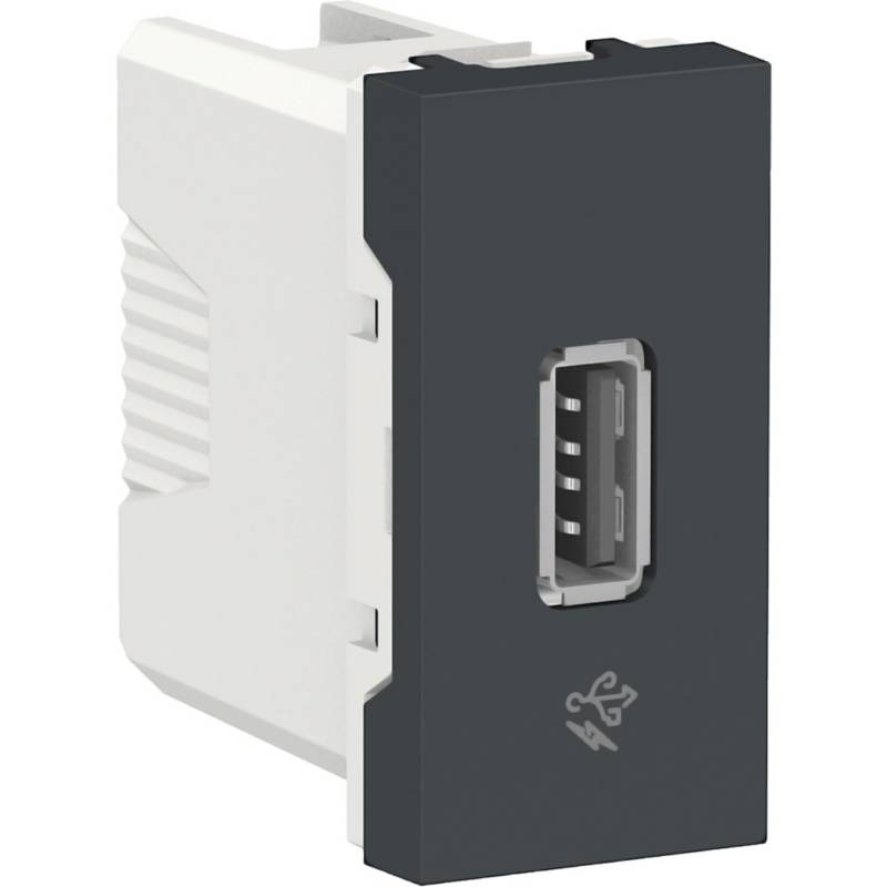 SCHNEIDER ELECTRIC - Módulo para cargador USB 1 A Grafito
