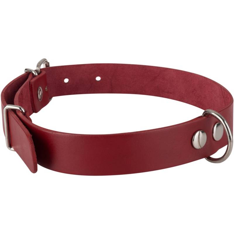 PETIZOOS - Collar para perro 75x3 cm de suela rojo