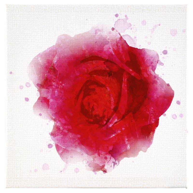 RETELA - Canvas decorativo Red Rose 50x50 cm