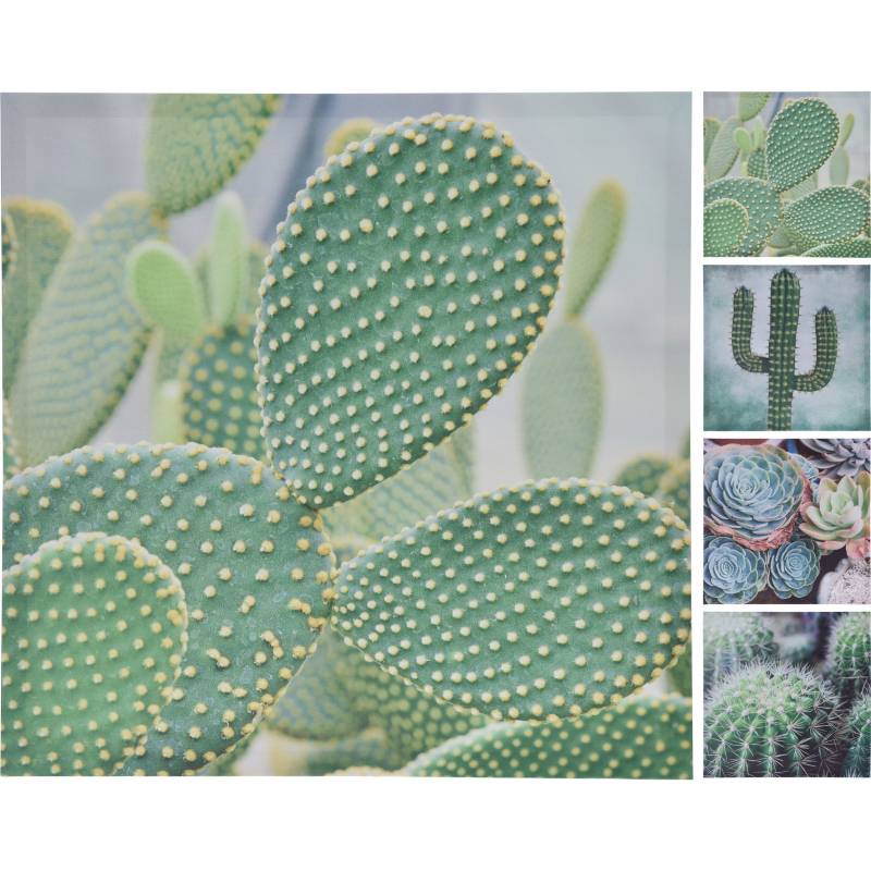 HOMY - Cuadro cactus 58x58 cm surtido