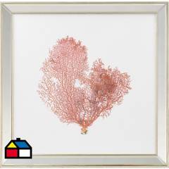 RONDA - Cuadro Coral rojo 50x50 cm