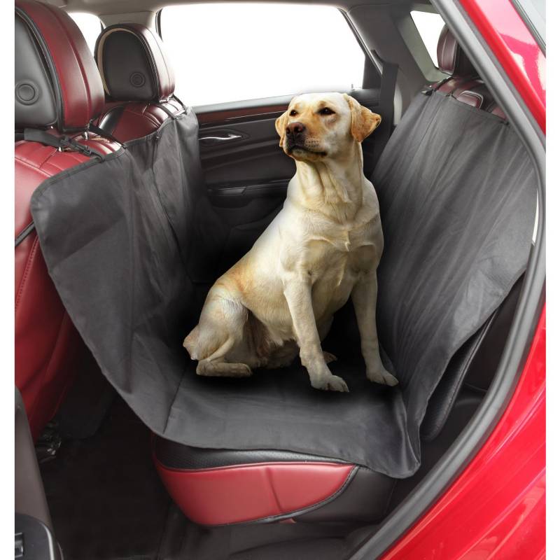 Cómo colocar el cubreasientos de mascotas 🐶 en tu vehículo?