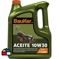 BAUKER - Aceite motor 4 tiempos - 10W30 - 3,8 L