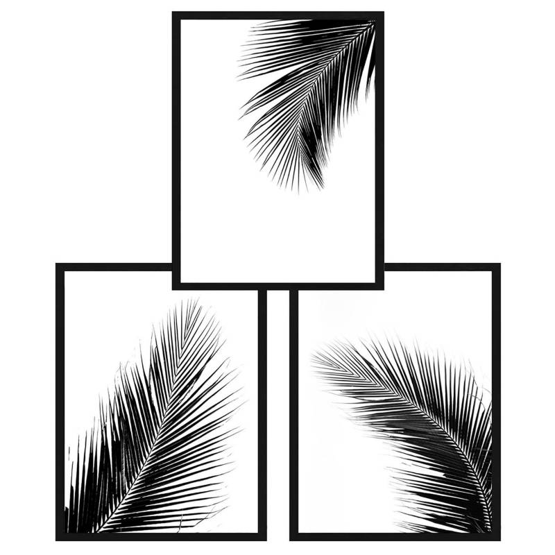 PAPEL ILUSTRADO - Set 3 cuadros 30x40cm hojas blanco y negro