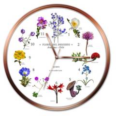 ANDES1 - Reloj pared flores desierto de atacama