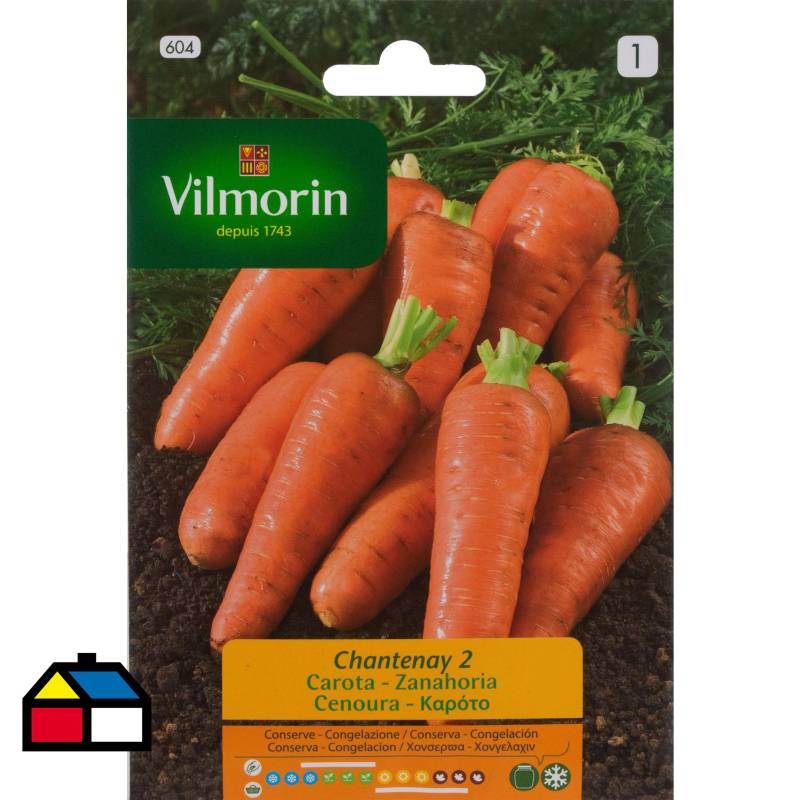 VILMORIN - Semilla zanahoria chantenay 4 gr sachet