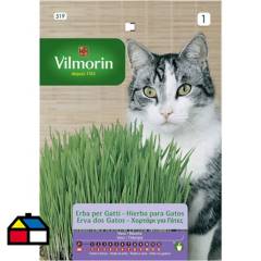 VILMORIN - Semilla hierba para gato 20 gr sachet