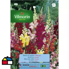 VILMORIN - Semilla flor perrito gigante 0,6 gr sachet