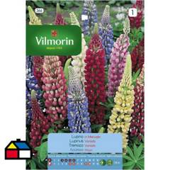 VILMORIN - Semilla flor lupino 2 gr sachet