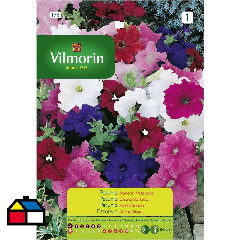 VILMORIN - Semilla flor petunia enana 0,4 gr sachet