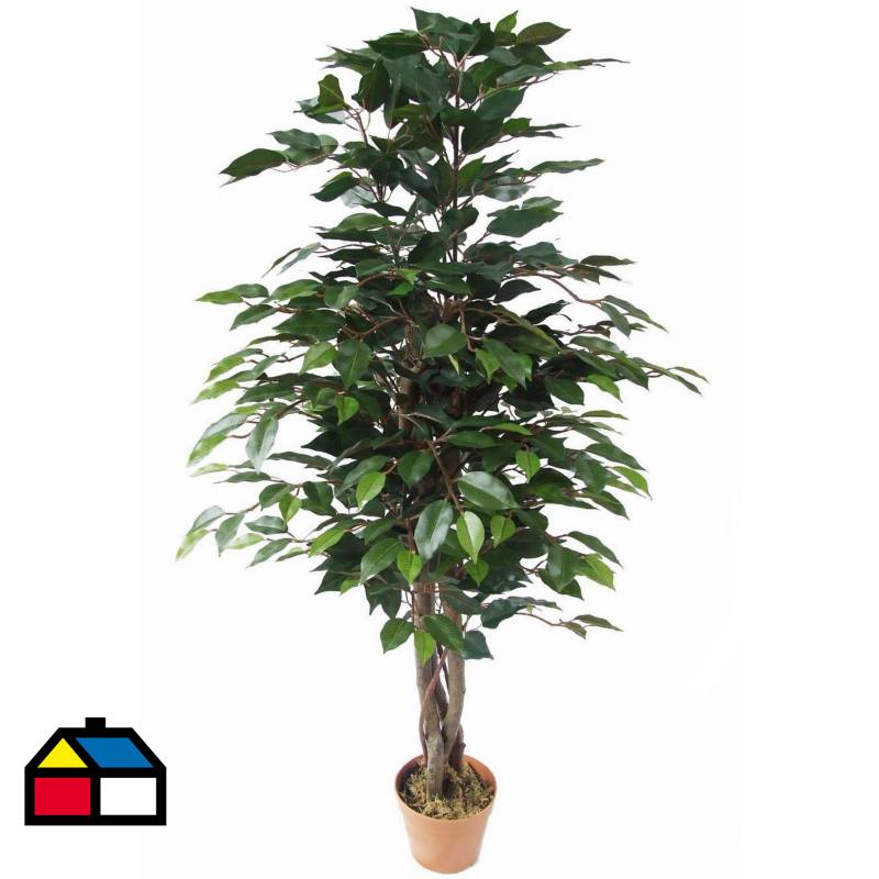 JUST HOME COLLECTION - Planta artificial Ficus 126 cm