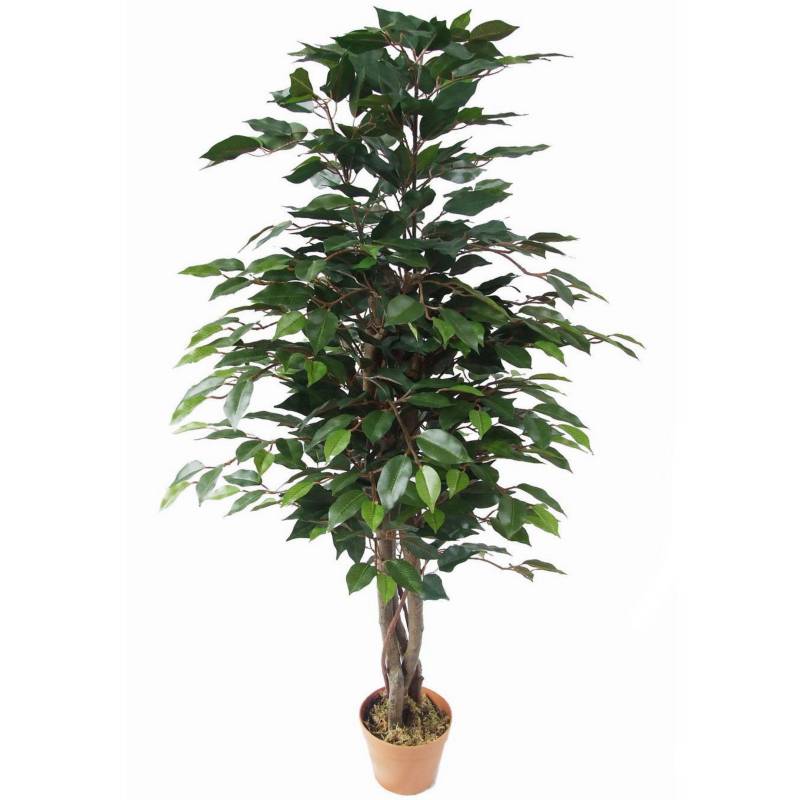 JUST HOME COLLECTION - Planta artificial Ficus 126 cm