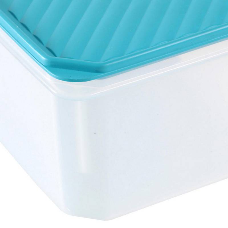 Recipiente de plastico con tapa 2.5 L