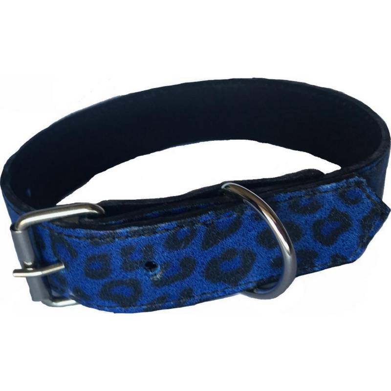 BR EEDS - Collar cuero perro 2,5x45 cm mediano azul