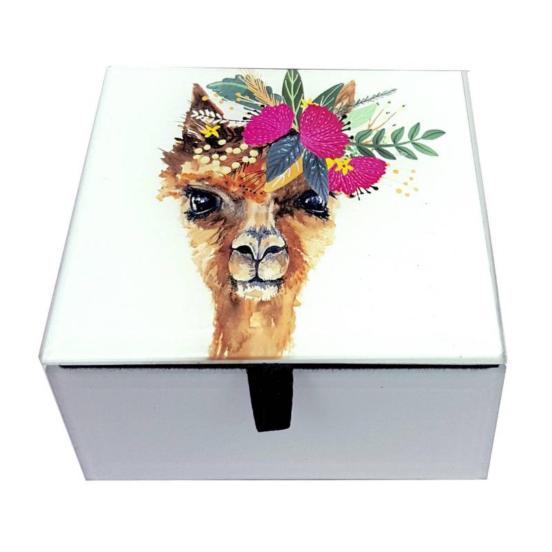 MANNO HOME - Caja decorativa vidrio alpaca 10x10,5x6 cm