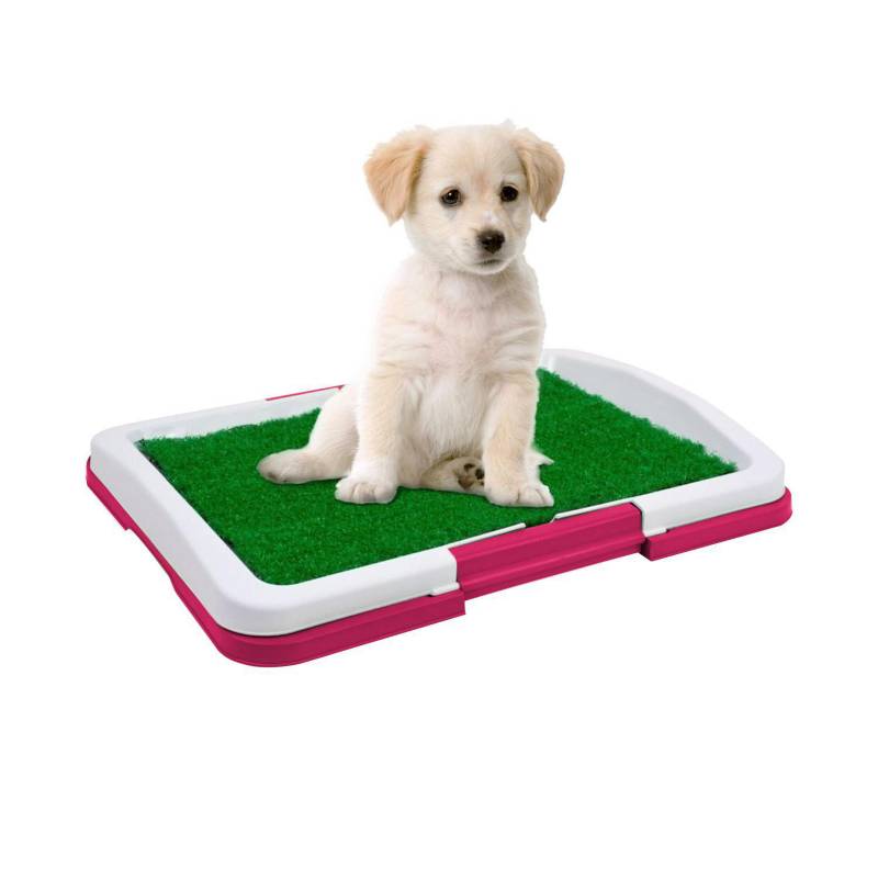 IMPORTADORA USA - Baño alfombra ecológica para mascota rosado