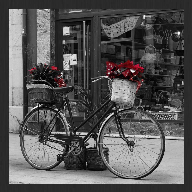  - Cuadro  + marco bicicleta flores rojas  30x30 cm