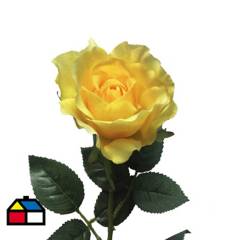 FLORACENTER - Rosa 62 cm surtido colores