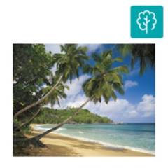 KOMAR - Fotomural tropical sea 8308