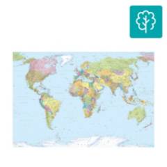 KOMAR - Fotomural world map 4038