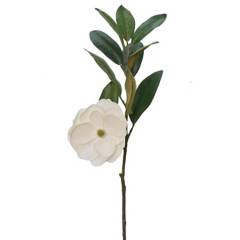JUST HOME COLLECTION - Vara magnolia 86 cm Multicolor.
