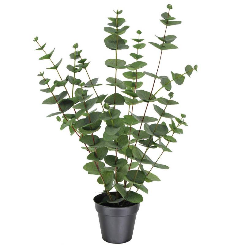 JUST HOME COLLECTION - Planta artificial Eucaliptus 59 cm.