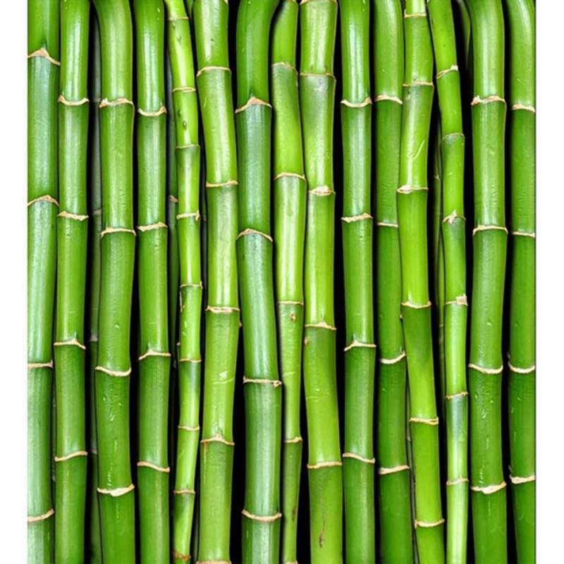  - Fotomural bambú 225x250 cm