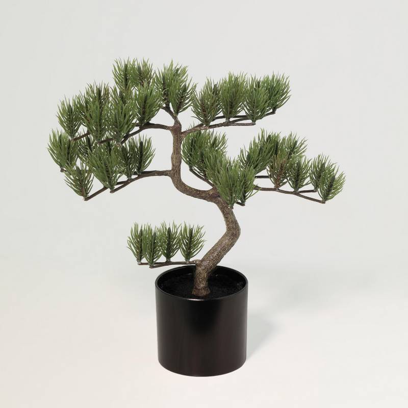 JUST HOME COLLECTION - Planta artificial bonsai 24 cm