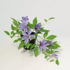JUST HOME COLLECTION - Planta artificial clematis violeta 23 cm