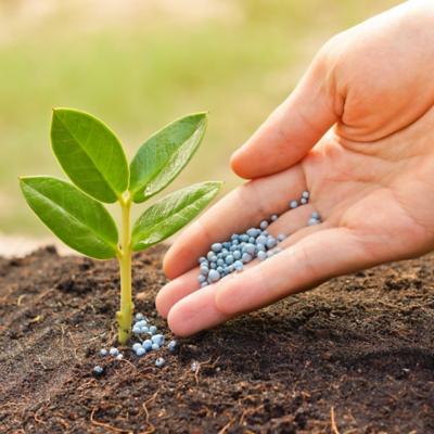 Fertilizantes para Huerto