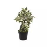 Mini Ficus planta artificial 20 x 29 cm