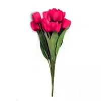Ramo de 11 tulipanes fucsia