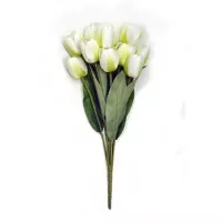 Ramo de 11 tulipanes crema