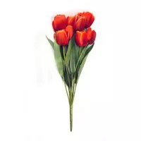 Ramo de 11 tulipanes naranja